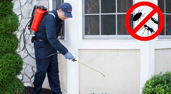 Pehlivanköy Böcek İlaçlama böcek ilaçlama ve haşere kontrolü — ilaclama-tr.com